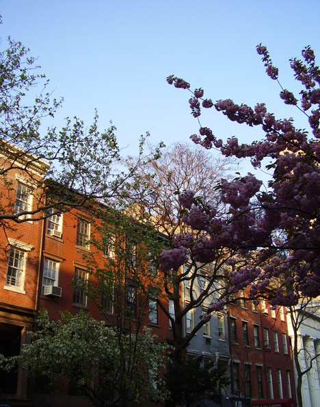 Springtime in New York