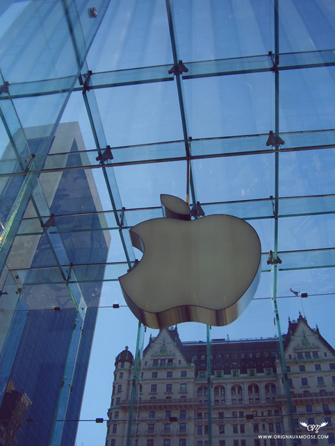 Apple's Glass Cube Store