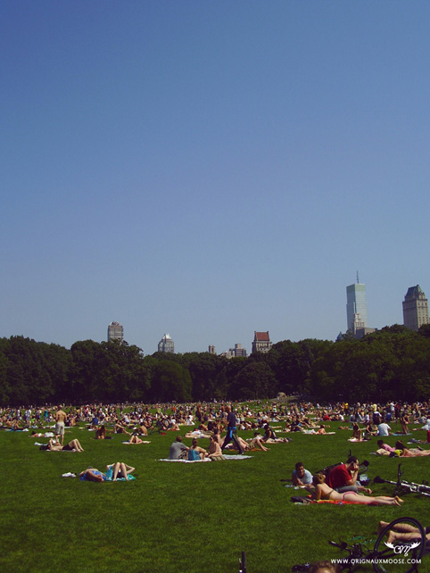 Central Park, Memorial Day, 2010