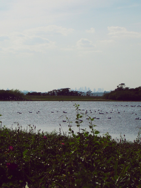 Memorial Day in Jamaica Bay