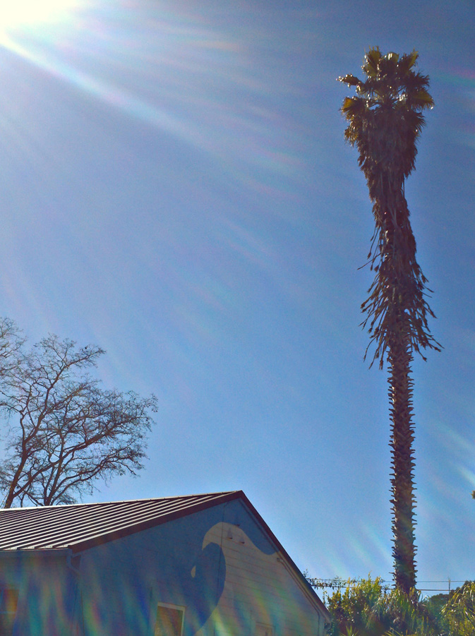 Capitola, Painted House