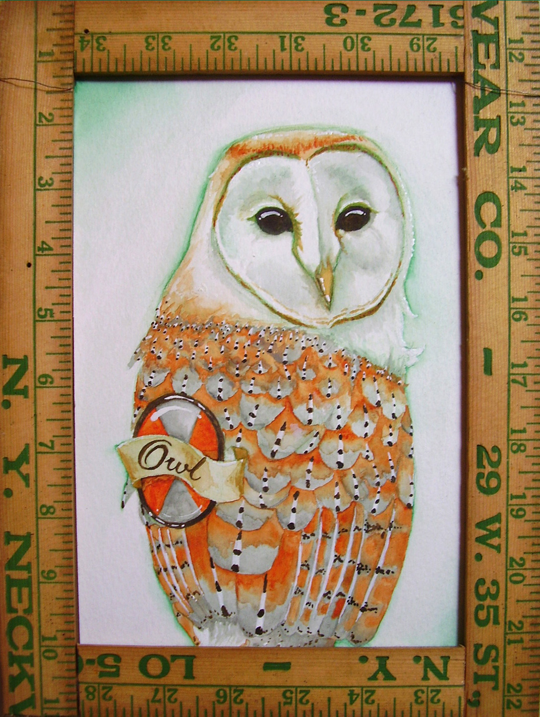 Birds and Rulers - Owl